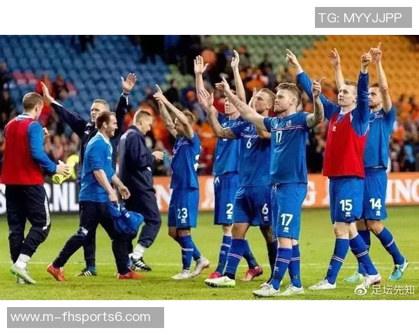 冰岛与匈牙利足球赛首发阵容分析及战术对比 冰岛与匈牙利足球赛首发阵容分析及战术对比